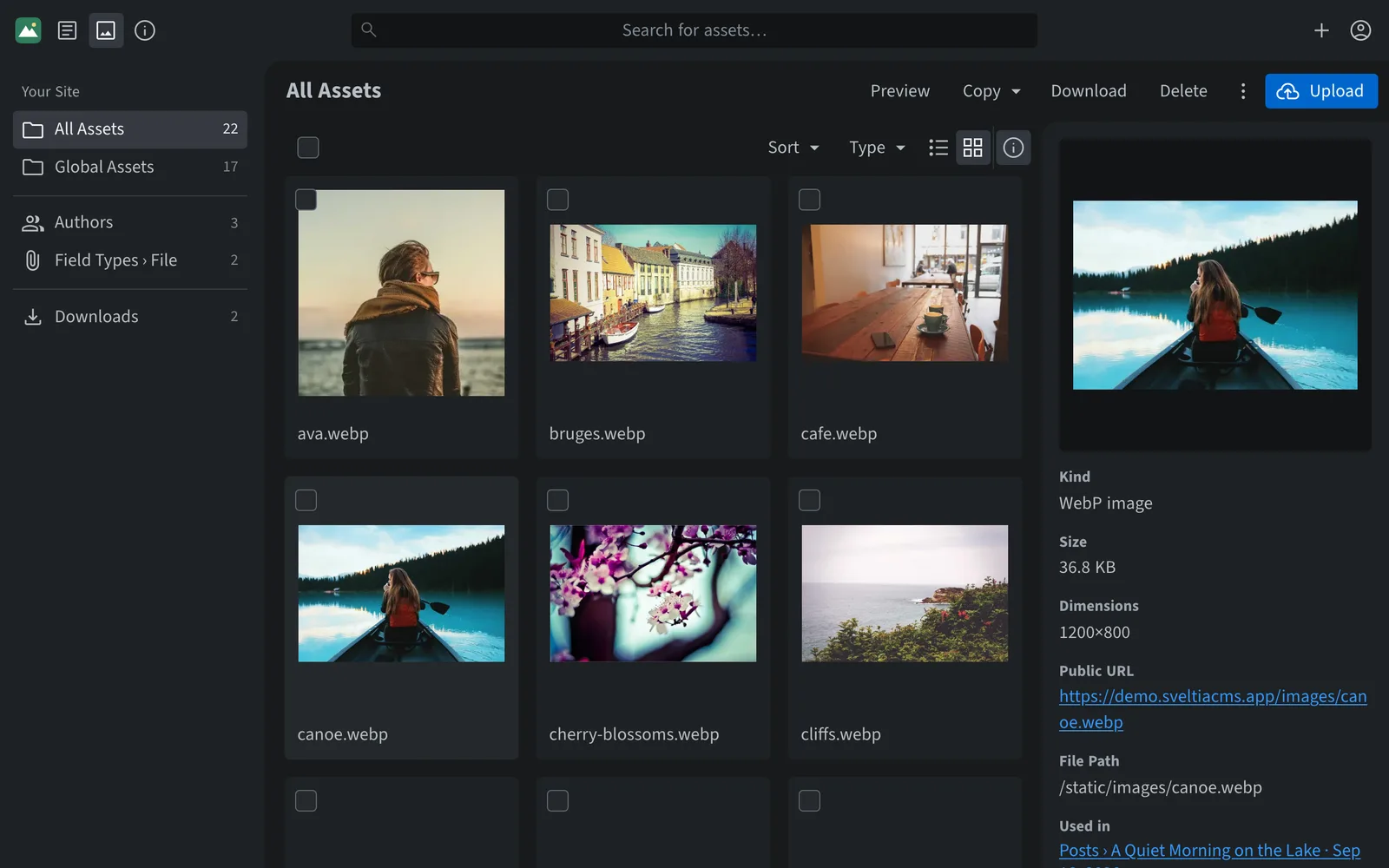The asset library showing a grid of photos and the details of a selected image