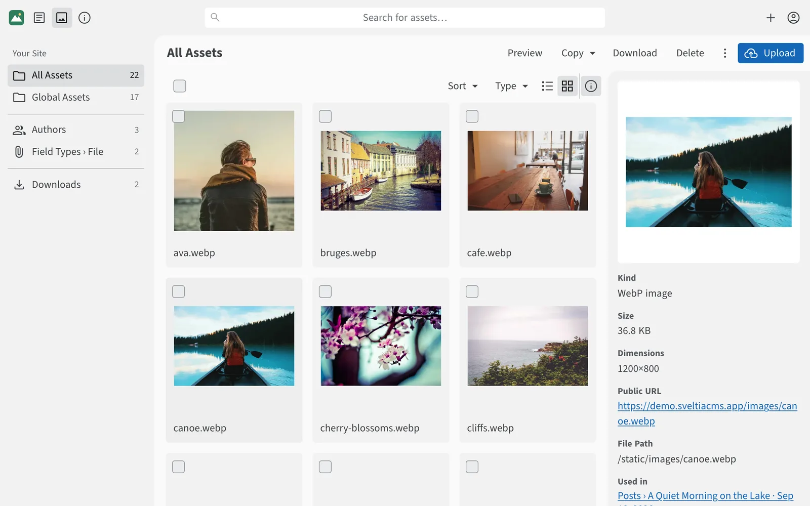 The asset library showing a grid of photos and the details of a selected image